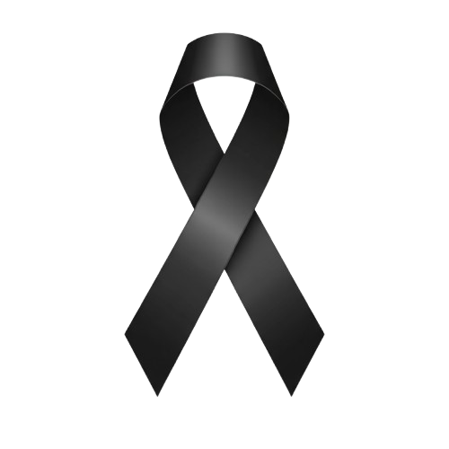 โบว์ไว้ทุกข์